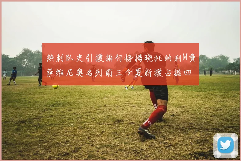 热刺队史引援排行榜揭晓托纳利M费萨维尼奥名列前三今夏新援占据四席